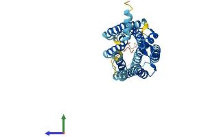 AlphaFold protein structure predicition of Mouse Recombinant Npbwr1 Protein, UniprotID P49681