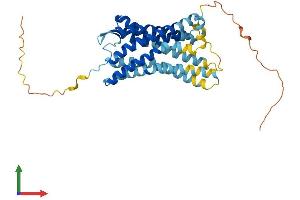 Protein Structure (PS) image for Chemokine (C-C Motif) Receptor 10 (CCR10) (AA 1-362) protein (His tag) (ABIN7552986)
