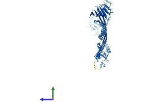 Protein Structure (PS) image for Tripartite Motif Containing 10 (TRIM10) (AA 1-481) protein (His tag) (ABIN7544677)