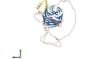 Protein Structure (PS) image for Transducin-Like Enhancer of Split 6 (TLE6) (AA 1-581) protein (His tag) (ABIN7556314)