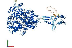 AlphaFold protein structure predicition of Mouse Recombinant Ints9 Protein, UniprotID Q8K114