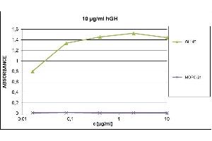 ELISA of human growth hormone using mouse monoclonal antibody GH-45. (Growth Hormone 1 antibody)