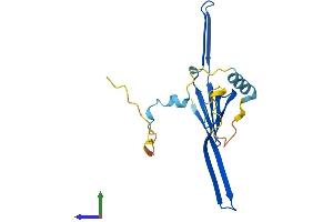 AlphaFold protein structure predicition of Human Recombinant TCAP Protein, UniprotID O15273 (TCAP Protein (AA 1-167) (His tag))