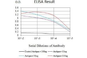 ELISA image for anti-Collagen, Type I, alpha 2 (COL1A2) (AA 23-79) antibody (ABIN7193541)