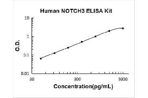 Notch 3 (NOTCH3) ELISA Kit
