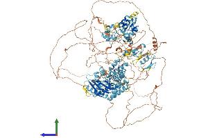 AlphaFold protein structure predicition of Human Recombinant POGZ Protein, UniprotID Q7Z3K3 (POGZ Protein (AA 1-1410) (His tag))