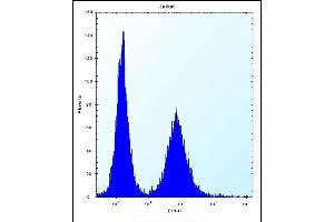 RPL11 Antibody (N-term) (ABIN656287 and ABIN2845596) flow cytometric analysis of Jurkat cells (right histogram) compared to a negative control cell (left histogram). (RPL11 antibody  (N-Term))