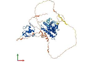 AlphaFold protein structure predicition of Mouse Recombinant Rxrb Protein, UniprotID P28704