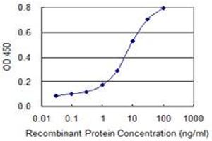 Detection limit for recombinant GST tagged TARDBP is 0. (TARDBP antibody  (AA 1-260))