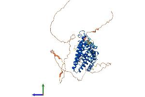Protein Structure (PS) image for Estrogen Receptor 2 (ESR2) (AA 1-530) protein (His tag) (ABIN7553865)