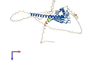 AlphaFold protein structure predicition of Mouse Recombinant Tspyl4 Protein, UniprotID Q8VD63 (TSPY-Like 4 Protein (TSPYL4) (AA 1-406) (His tag))
