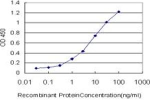 Detection limit for recombinant GST tagged RORB is approximately 0. (RORB antibody  (AA 136-224))