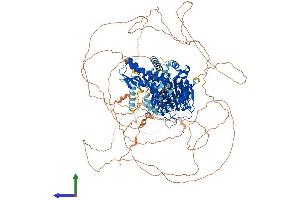 AlphaFold protein structure predicition of Human Recombinant JARID2 Protein, UniprotID Q92833