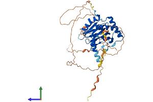 Protein Structure (PS) image for Egl-9 Family Hypoxia Inducible Factor 2 (EGLN2) (AA 1-419) protein (His tag) (ABIN7564819)