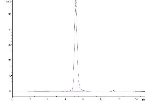 The purity of Mouse CD300A is greater than 95 % as determined by SEC-HPLC. (CD300a Protein (CD300A) (AA 28-185) (Fc Tag))