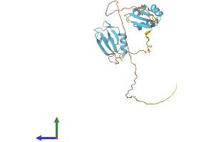 AlphaFold protein structure predicition of Mouse Recombinant Srsf5 Protein, UniprotID O35326