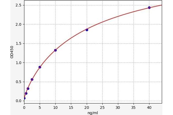 PTPN1 ELISA Kit