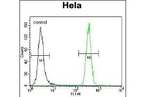 HS Antibody (ABIN388133 and ABIN2846370) flow cytometric analysis of Hela cells (right histogram) compared to a negative control cell (left histogram). (GRP78 antibody)
