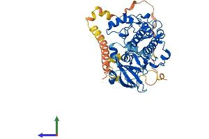 AlphaFold protein structure predicition of Mouse Recombinant Sgk1 Protein, UniprotID Q9WVC6 (SGK1 Protein (AA 1-431) (His tag))