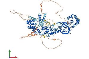 AlphaFold protein structure predicition of Human Recombinant LONRF3 Protein, UniprotID Q496Y0 (LONRF3 Protein (AA 1-759) (His tag))