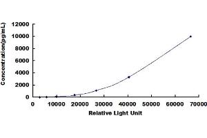 ELISA image for Lysozyme (LYZ) CLIA Kit (ABIN492274)