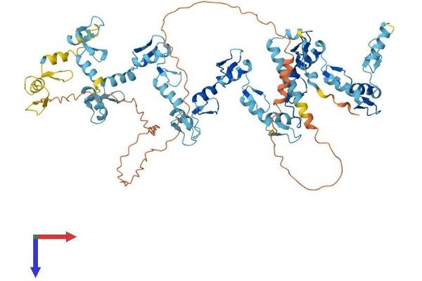 ZFP28 Protein (AA 1-718) (His tag)