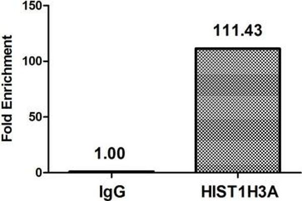 HIST1H3A antibody  (acLys4)