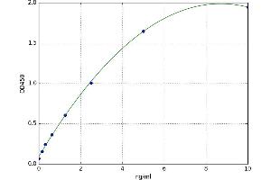 Microtubule-Associated Protein 1 Light Chain 3 alpha (MAP1LC3A) ELISA Kit