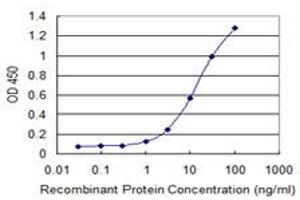 Detection limit for recombinant GST tagged CCDC83 is 0. (CCDC83 antibody  (AA 341-444))
