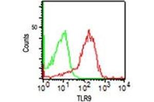 TLR9 Flow Cytometry Flow Cytometry of Mouse Anti-TLR9 antibody. (TLR9 antibody)