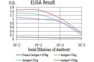 Black line: Control Antigen (100 ng);Purple line: Antigen (10ng); Blue line: Antigen (50 ng); Red line:Antigen (100 ng) (SYK antibody  (AA 217-356))