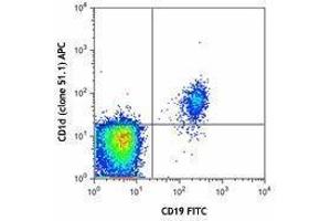 Flow Cytometry (FACS) image for anti-CD1d Molecule (CD1D) antibody (APC) (ABIN2657008) (CD1d antibody  (APC))