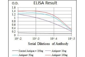 ELISA image for anti-Cytochrome P450, Family 3, Subfamily A, Polypeptide 4 (CYP3A4) antibody (ABIN1106886) (CYP3A4 antibody)