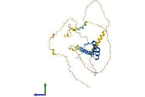 AlphaFold protein structure predicition of Human Recombinant HOXD11 Protein, UniprotID P31277 (HOXD11 Protein (AA 1-338) (His tag))
