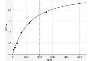 ADAMTS12 ELISA Kit