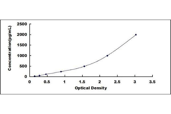 ECM1 ELISA Kit