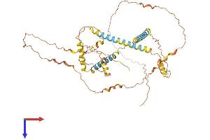 AlphaFold protein structure predicition of Human Recombinant NPIPB9 Protein, UniprotID F8W1W9 (NPIPB9 Protein (AA 1-429) (His tag))