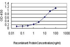 Detection limit for recombinant GST tagged SCAMP3 is approximately 0. (SCAMP3 antibody  (AA 70-169))