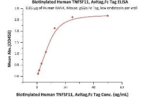 Immobilized Human RANK, Mouse IgG2a Fc Tag, low endotoxin (ABIN5954944,ABIN6253593) at 0.