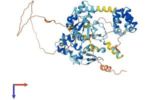 BIRC3 Protein (AA 1-600) (His tag)