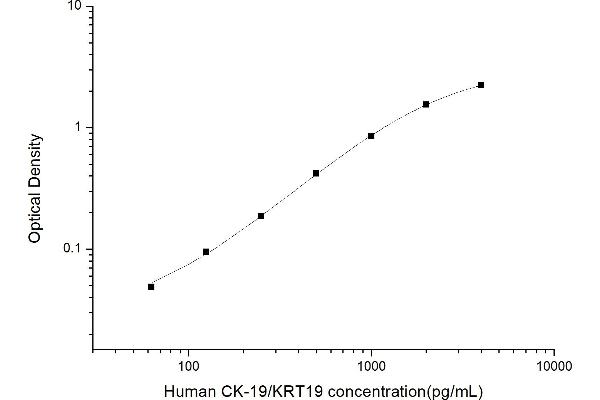 Cytokeratin 19 ELISA Kit