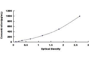 Typical standard curve (CCL2 ELISA Kit)