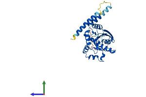 AlphaFold protein structure predicition of Human Recombinant GIMAP6 Protein, UniprotID Q6P9H5