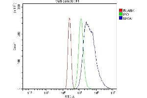 Flow Cytometry analysis of HL-60 cells using anti-Bag5 antibody (ABIN5518812).