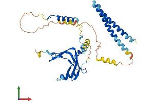 AlphaFold protein structure predicition of Human Recombinant TAF7 Protein, UniprotID Q15545 (TAF7 Protein (AA 1-349) (His tag))