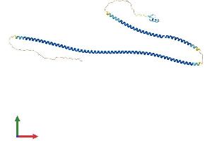 AlphaFold protein structure predicition of Human Recombinant IKBKG Protein, UniprotID Q9Y6K9 (IKBKG Protein (AA 1-419) (His tag))