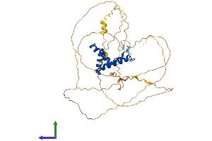 AlphaFold protein structure predicition of Mouse Recombinant Sox4 Protein, UniprotID Q06831 (SOX4 Protein (AA 1-440) (His tag))