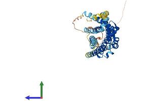AlphaFold protein structure predicition of Human Recombinant OPRK1 Protein, UniprotID P41145 (OPRK1 Protein (AA 1-380) (His tag))