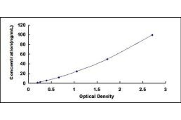 RLBP1 ELISA Kit