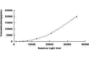 Typical standard curve (Neurotrophin 3 CLIA Kit)